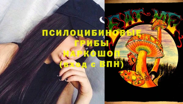 МДПВ Наволоки