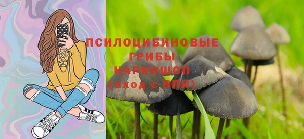 эйфоретик Надым