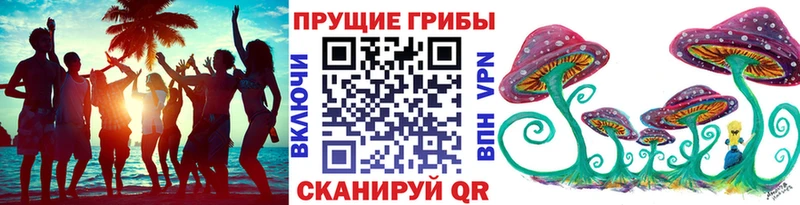 купить  сайты  Кириши  Псилоцибиновые грибы Cubensis 