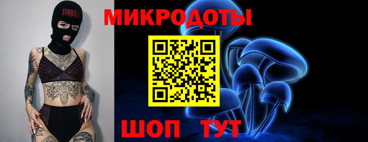 Псилоцибиновые грибы Psilocybine cubensis  Вход с VPN  купить   Псилоцибиновые грибы Psilocybe  Кириши 